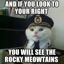 and if you look to your right, you will see the rocky mweotains (it's a cat in a pilot hat)
